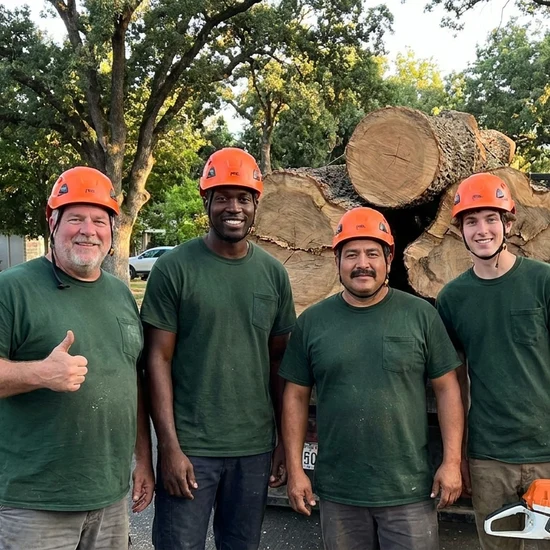 Greenwood tree crew with a truck loaded with oak logs in Mesa