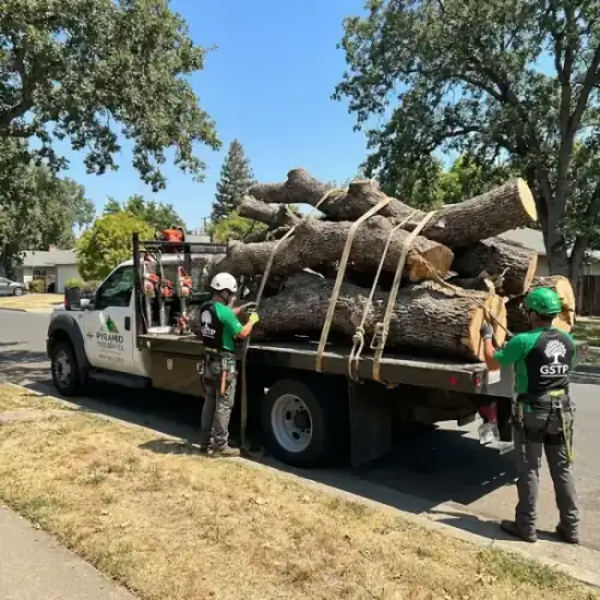 Tree service truck loaded with branches after a Mesa job